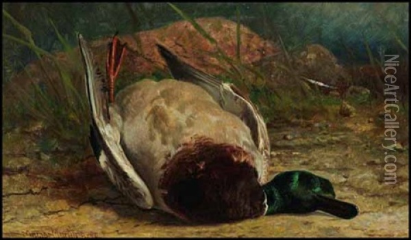 A Brace Of Mallard Oil Painting - Thomas Mower Martin