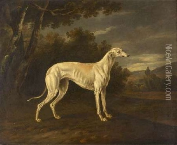 Study Of The Greyhound "waggoner" Oil Painting - Thomas Gooch