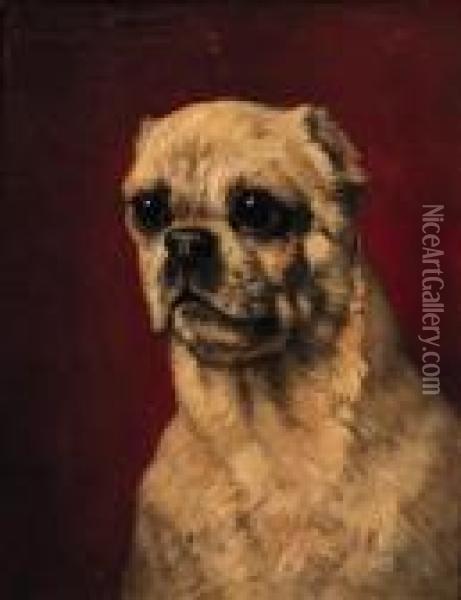 Portrait Of A Pug-dog Oil Painting - Henriette Ronner-Knip