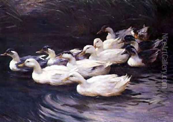 Ducks Oil Painting - Karl Lindner