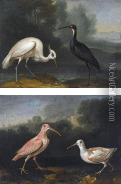 Curlew And A Greenshank In A 
Landscape (#) An Egret And A Black Stork In A 
Landscape Oil Painting - Ferdinand Phillip de Hamilton