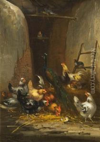Diverses Federvieh Im Stall Oil Painting - Claude Guilleminet