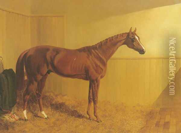 Grimston A Chestnut Racehorse Oil Painting - John Frederick Herring Snr