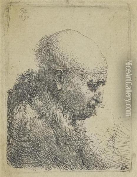Bald Man Turned To The Right Oil Painting - Rembrandt Van Rijn