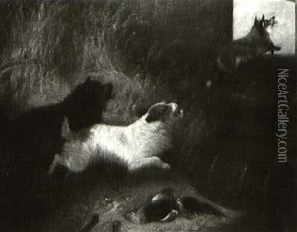 Terriers Ferreting  Terriers Chasing A Fox Oil Painting - George Armfield