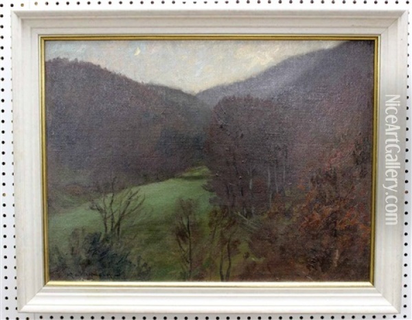 Herbstliches Schwarzwaldtal In Der Dammerung Oil Painting - Hans Richard Von Volkmann
