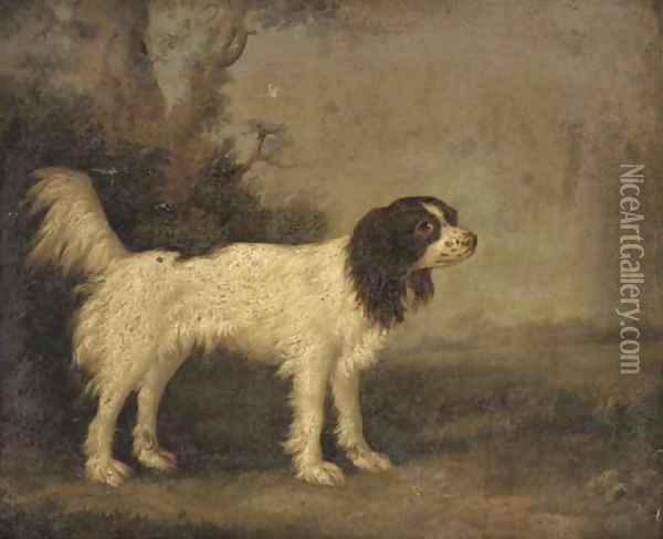 A springer spaniel in a landscape Oil Painting - English School