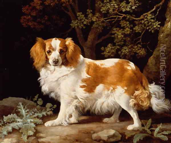 A Liver and White King Charles Spaniel in a Wooded Landscape, 1776 Oil Painting - George Stubbs