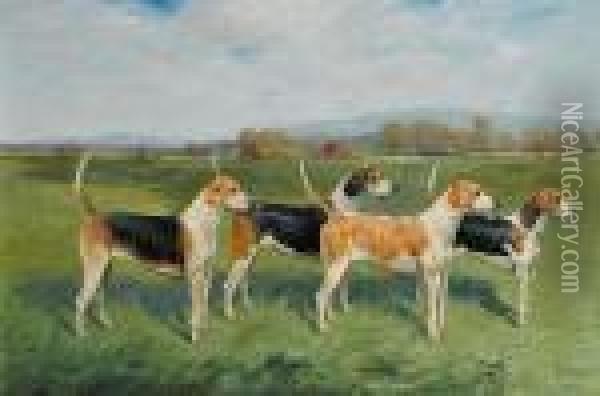Prize Fox Hounds In A Landscape Oil Painting - George Paice