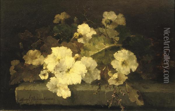 Still Life With Primroses On A Stone Ledge Oil Painting - Margaretha Roosenboom