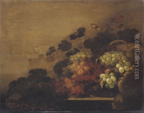 Natura Morta Con Uva Oil Painting - Cornelis De Heem