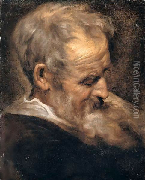 Portrait of an old man Oil Painting - Sir Anthony Van Dyck