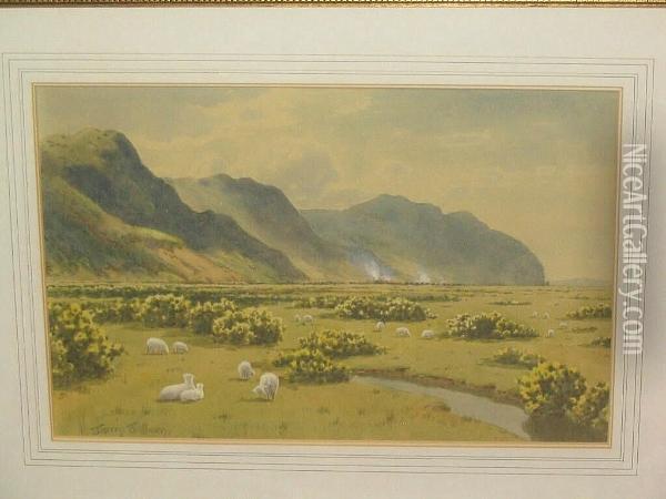 Extensive Country Landscape With Sheep Grazing Oil Painting - Warren Williams