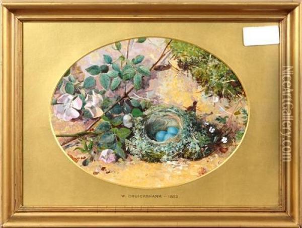 Still Life Of A Bird's Nest And Flowers On A Mossy Bank Oil Painting - William Cruickshank