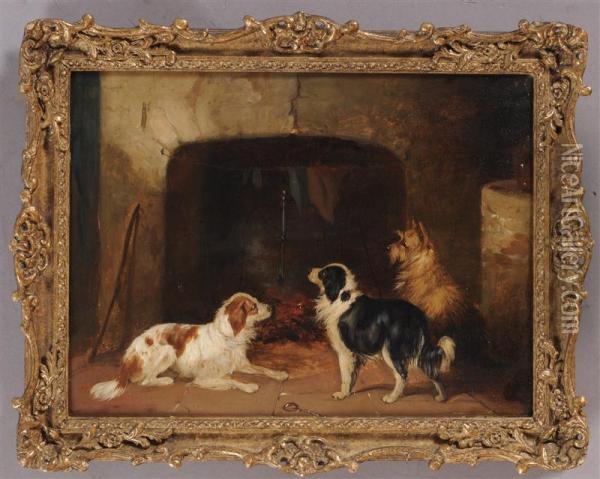 Two Setters And A Terrier Oil Painting - George Armfield