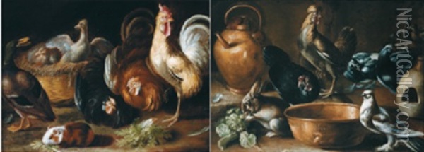 Stillleben Mit Hahnen Und Anderen Tieren - Coppia Di Nature Morte Con Galline E Altri Animali (2 Works) Oil Painting - Giovanni Agostino (Abate) Cassana