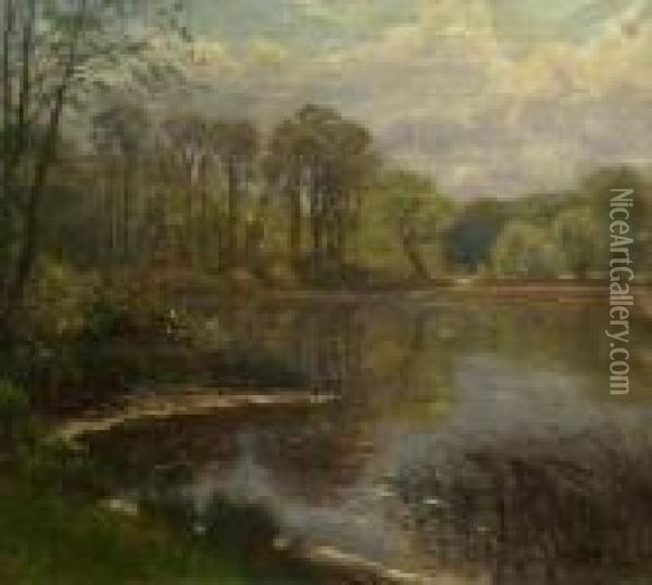 Landscape With Pond Oil Painting - Olaf Viggo Peter Langer