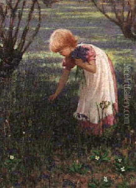 Wild Hyacinth Oil Painting - Hilda Fairbairn