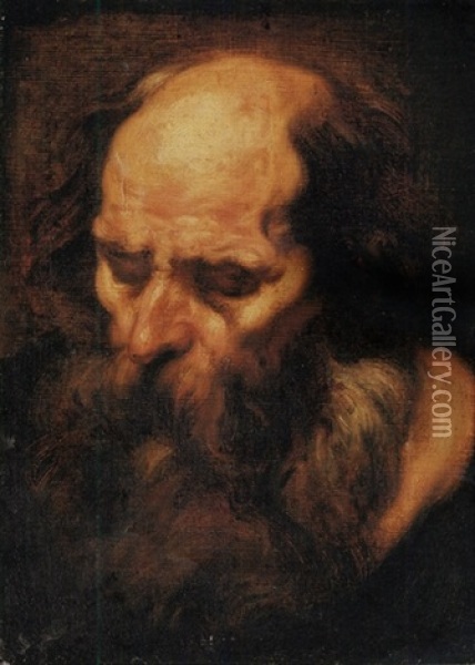 Head Of A Bearded Man Oil Painting - Jacob Jordaens