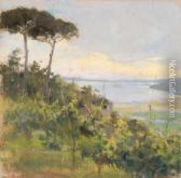 Paesaggio Costiero Con Pini Marittimi Oil Painting - Giuseppe Casciaro
