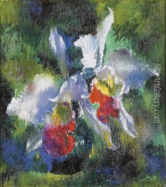 Orchideen Auf Grunem Grund Oil Painting - Augusto Giacometti