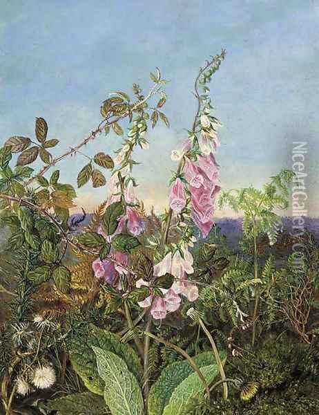 A summer hedgerow Oil Painting - Albert Durer Lucas