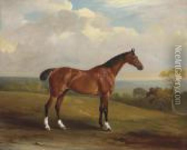 Clinker, The Bay Hunter Of H.h. Holdich-hungerford Of Dingley Park,northamptonshire Oil Painting - John Snr Ferneley