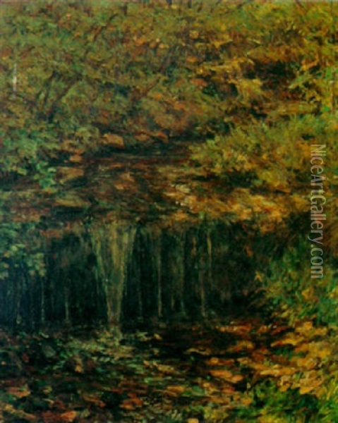 Woodland Stream Oil Painting - Robert Reid