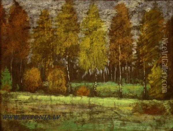 The Border Of Forest Oil Painting - Voldemars Irbe
