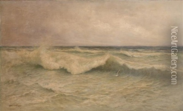 Seascape With Gulls Oil Painting - Arthur Vidal Diehl