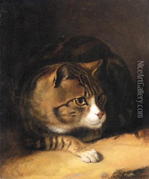 Tom The Tabby Cat Oil Painting - Abraham Cooper