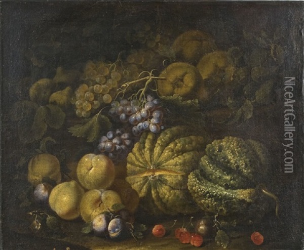 Natura Morta Con Uva E Frutta Oil Painting - Giovanni Paolo Castelli (lo Spadino)