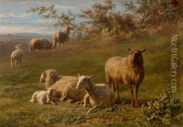 Sheep Resting In A Landscape Oil Painting - Jan Bedijs Tom