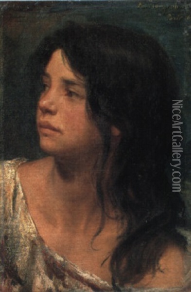 Portrait Of A Dark Haired Girl Oil Painting - Paul Friedrich Meyerheim