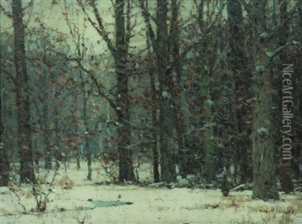 Silent Woods Oil Painting - John Fabian Carlson