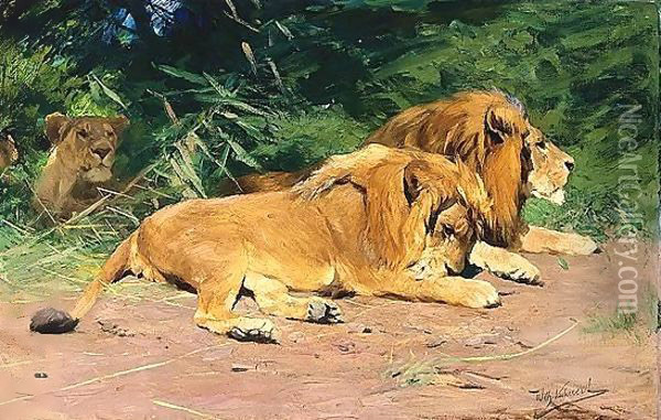 Ruhende Lowen (Lions At Rest) Oil Painting - Wilhelm Kuhnert