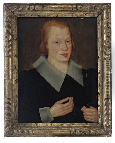 Portrait Of A Young Gentleman Oil Painting - Robert Peake the Younger