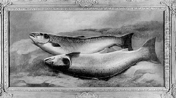 Still Life Of Two Salmon On A Riverbank Oil Painting - John Bucknell Russell