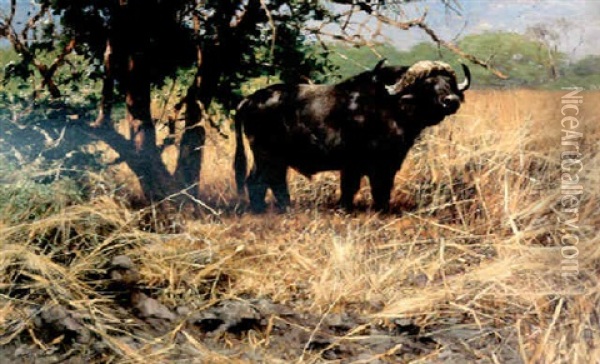 Cape Buffalo Oil Painting - Wilhelm Friedrich Kuhnert