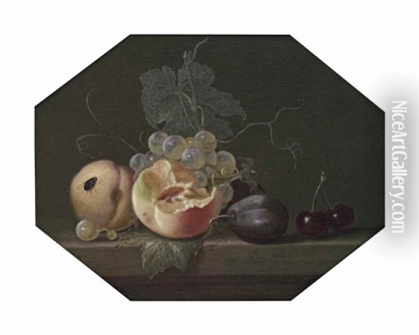Peaches, Grapes On The Vine, Black Plums, Cherries And A Fly, All On A Stone Ledge Oil Painting - Willem Van Aelst