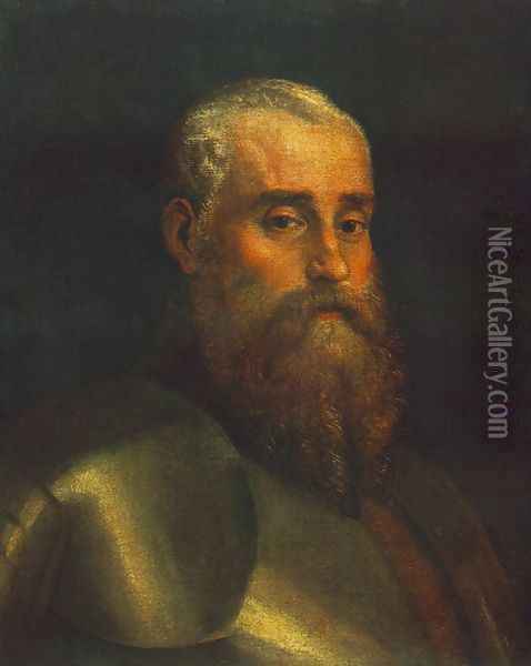 Portrait of Agostino Barbarigo Oil Painting - Paolo Veronese (Caliari)