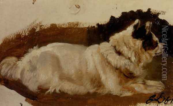 Study Of A Chow Oil Painting - Sir Edwin Henry Landseer