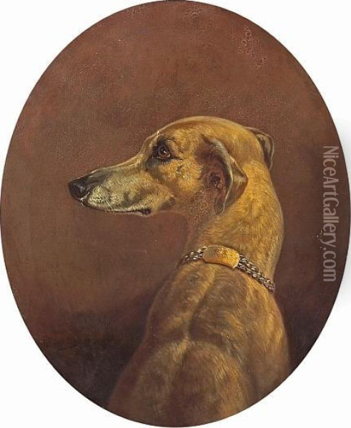 A Study Of An Italian Greyhound Oil Painting - Rosa Bonheur