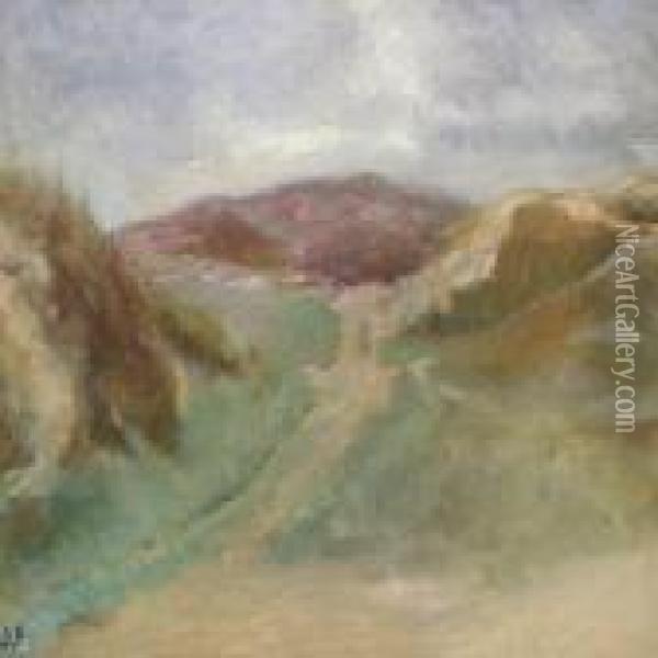 Landscape With Dunes Oil Painting - Julius Paulsen