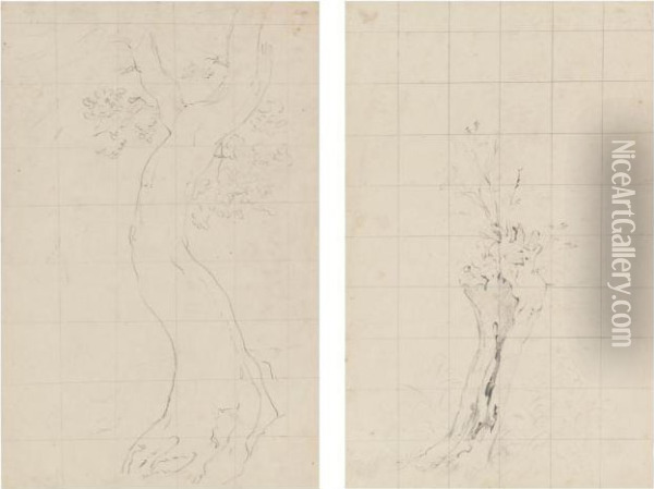 Tree Study For Helmingham Dell Oil Painting - John Constable