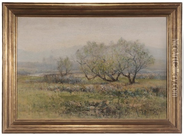 Spring In The Monument Creek, Colorado Springs, Colorado Oil Painting - Harvey Otis Young