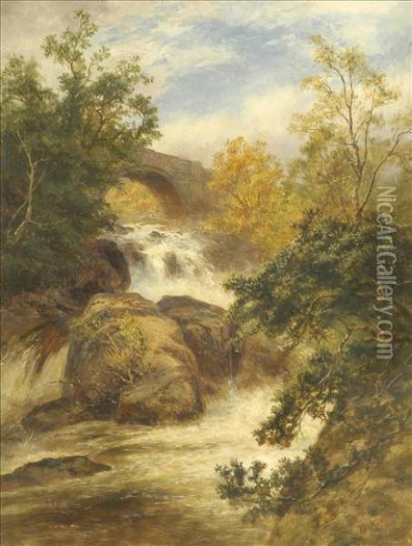 Cafyn Falls On Thellugwy, North Wales Oil Painting - Robert Gallon