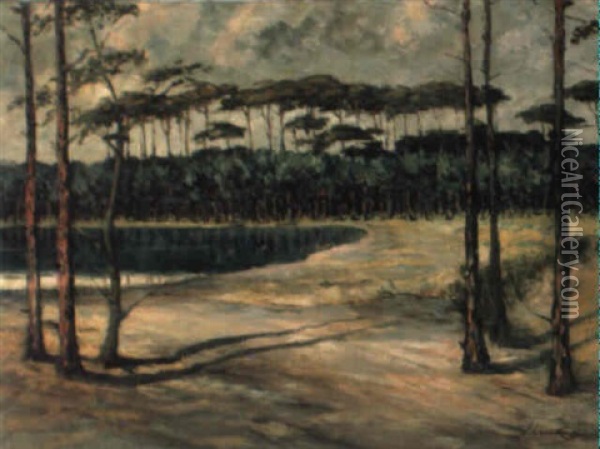Bucht Eines Markischen Sees Mit Kiefern Am Spatnachmittag Oil Painting - Walter Leistikow