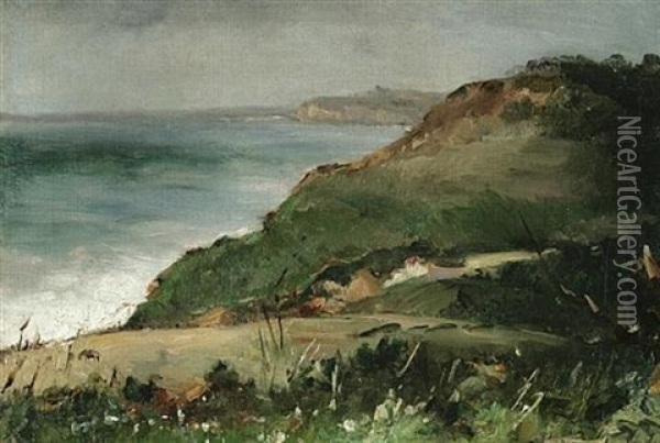 Cliff And Ocean View Oil Painting - Alberto Pasini