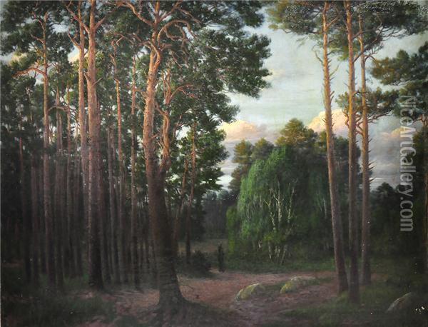 Heidelandschaft. Kiefern In Der Abendsonne Oil Painting - Albert Wohlenberg